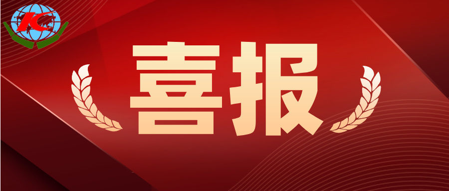 市勘測院公司成功通過2025年度“蕪湖市大數據企業”認定